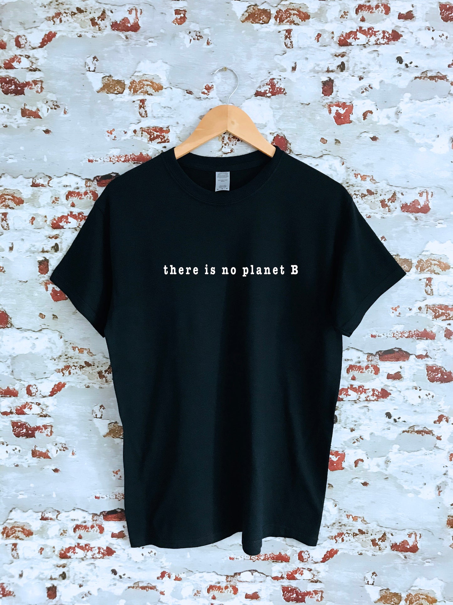There is no planet B slogan printed T-shirt, multiple sizes and colours, womens top, climate change, activism, enviroment, nature, Greta