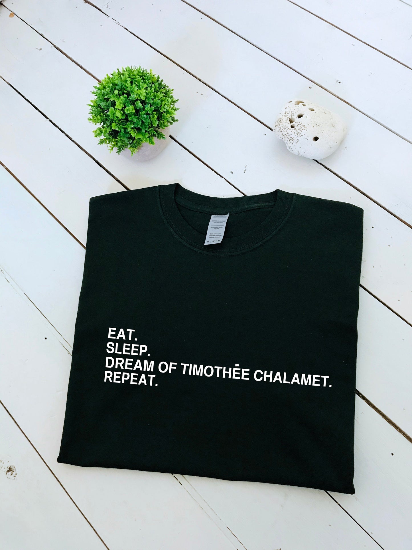 Dream of Timothee Chalamet & repeat print T-shirt, unisex, multiple sizes and colours, mens and womens top