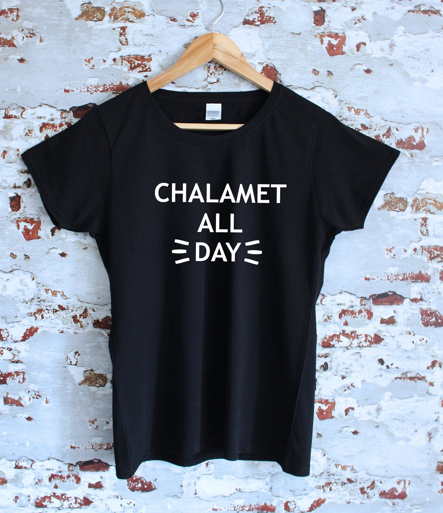 Chalamet All Day print T-shirt, unisex, multiple sizes and colours, mens and womens top, funny slogan tee :)