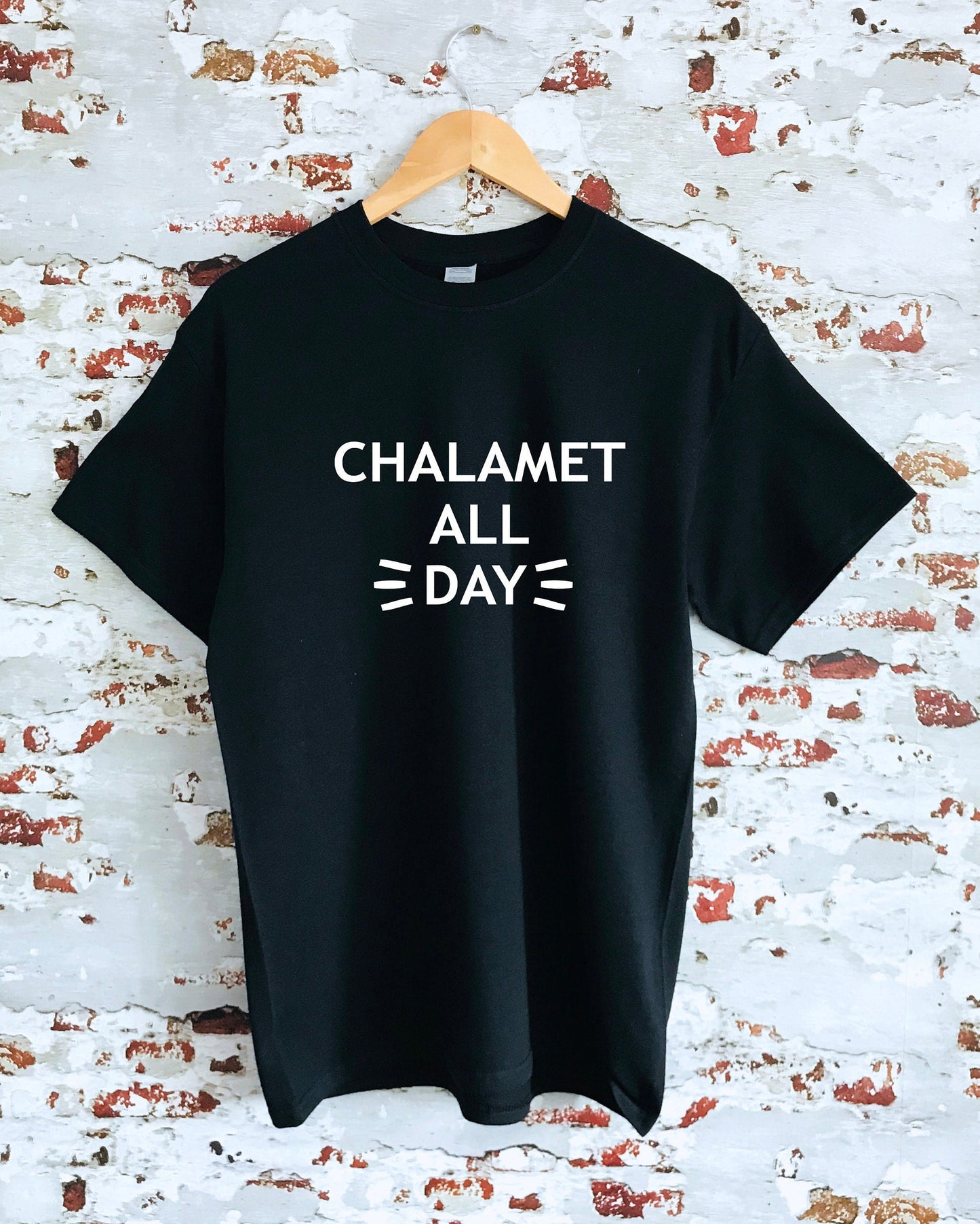 Chalamet All Day print T-shirt, unisex, multiple sizes and colours, mens and womens top, funny slogan tee :)
