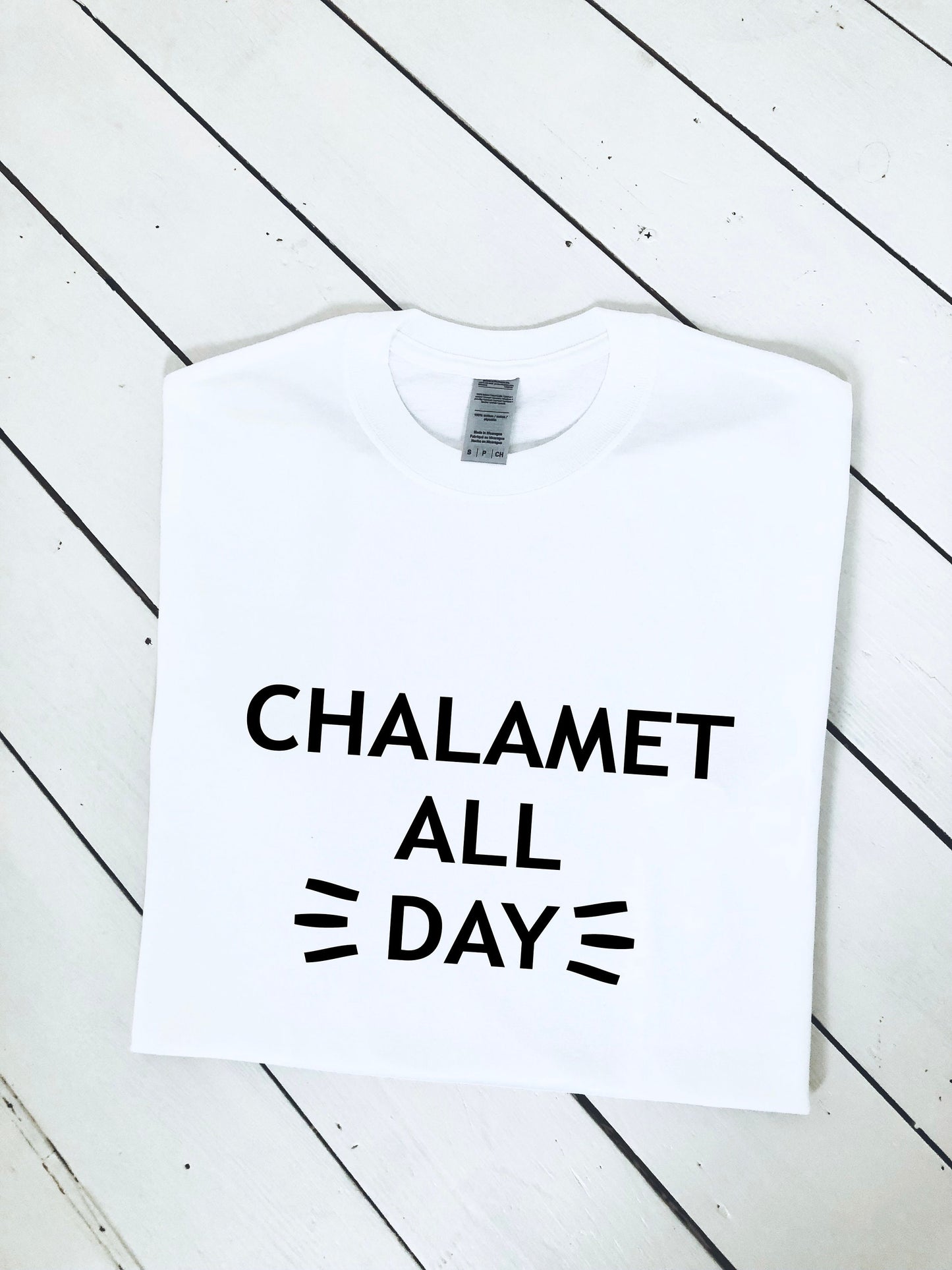 Chalamet All Day print T-shirt, unisex, multiple sizes and colours, mens and womens top, funny slogan tee :)