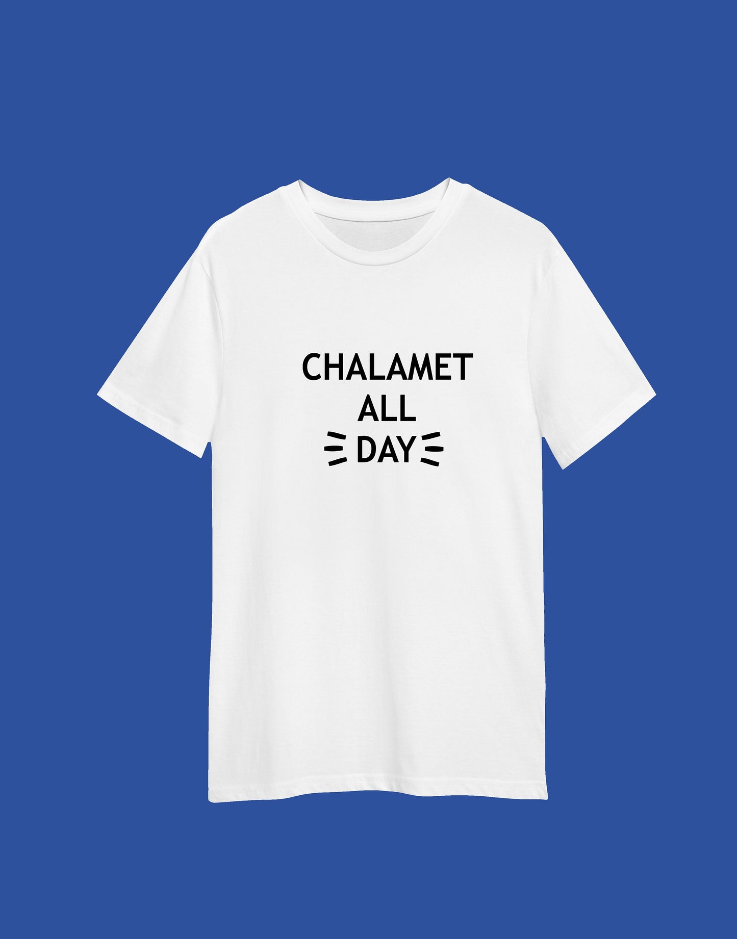 Chalamet All Day print T-shirt, unisex, multiple sizes and colours, mens and womens top, funny slogan tee :)