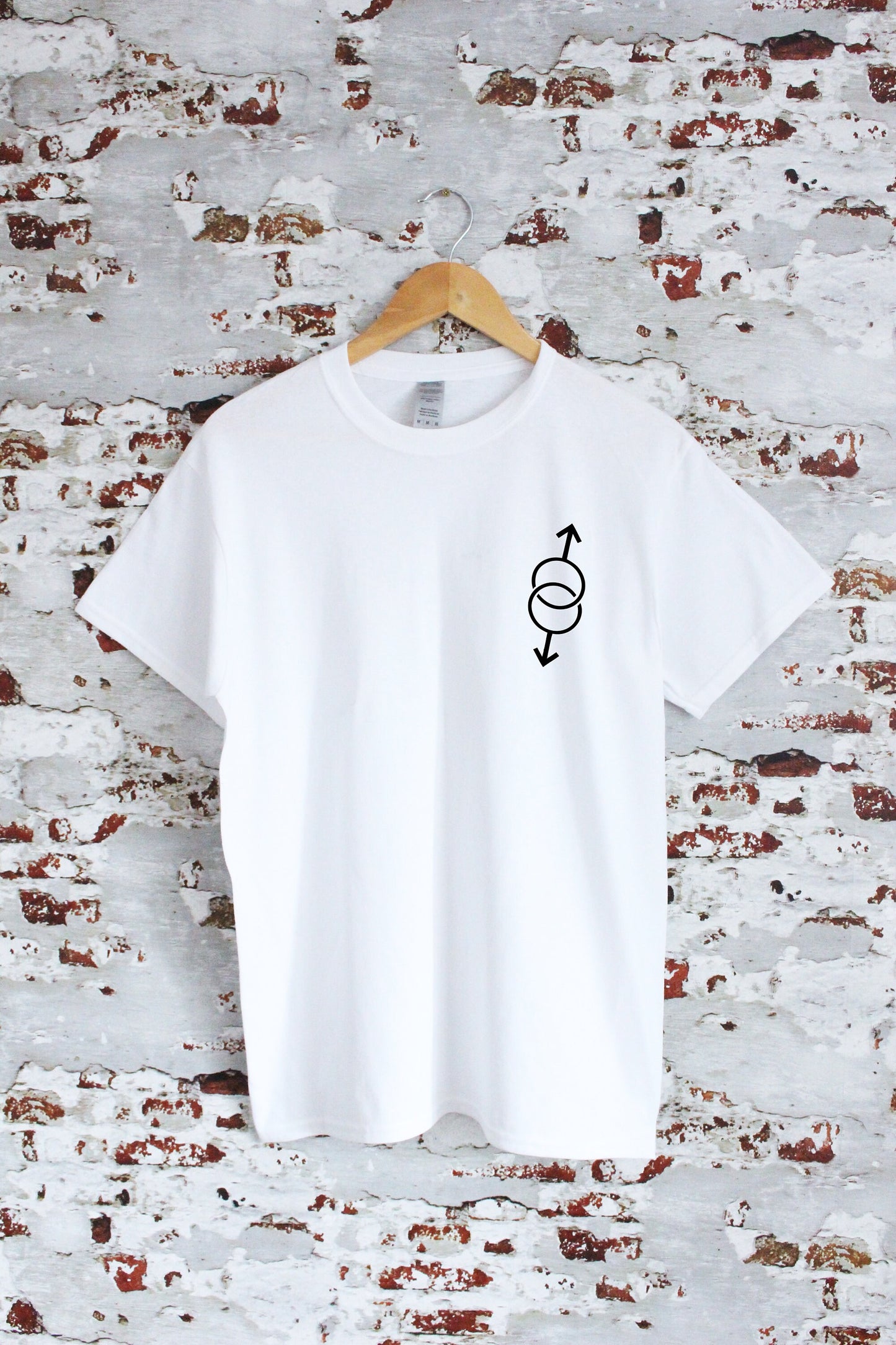 Pride Gay couple symbols print T-shirt with size variations, unisex, LGBT, multiple colours, LGBT, Pride, equality, insta, couples gift