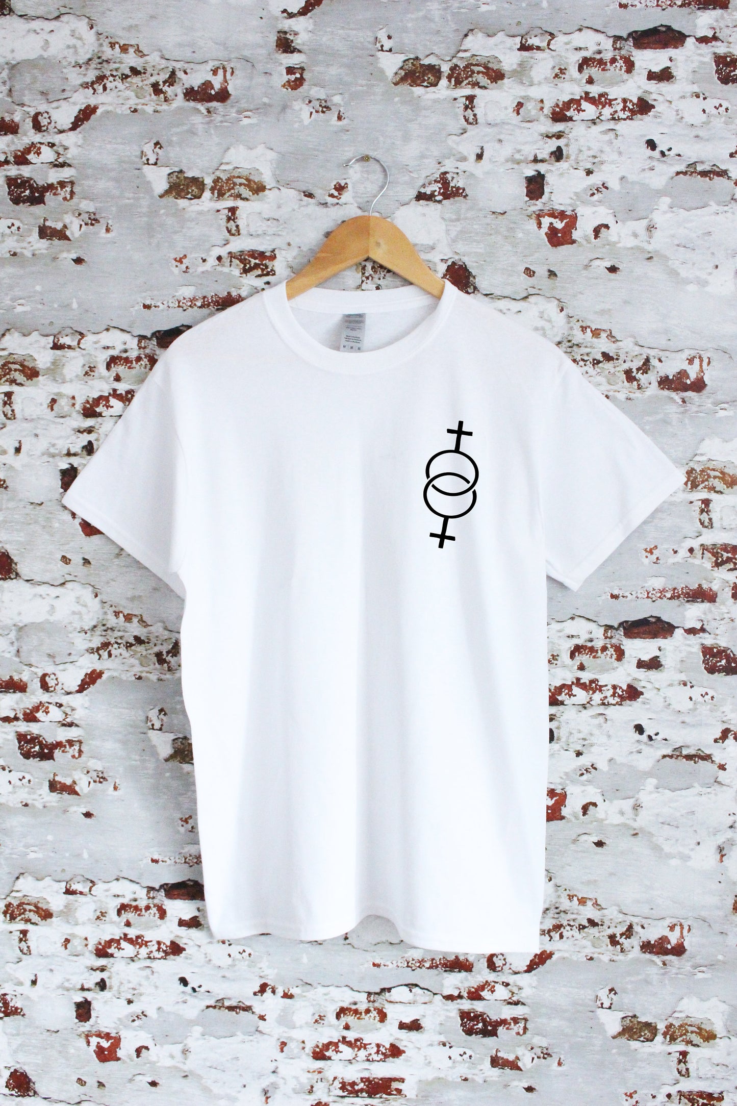 Pride Lesbian couple symbols print T-shirt with size variations, unisex, LGBT, multiple colours, LGBT, Pride, equality, insta, couples gift