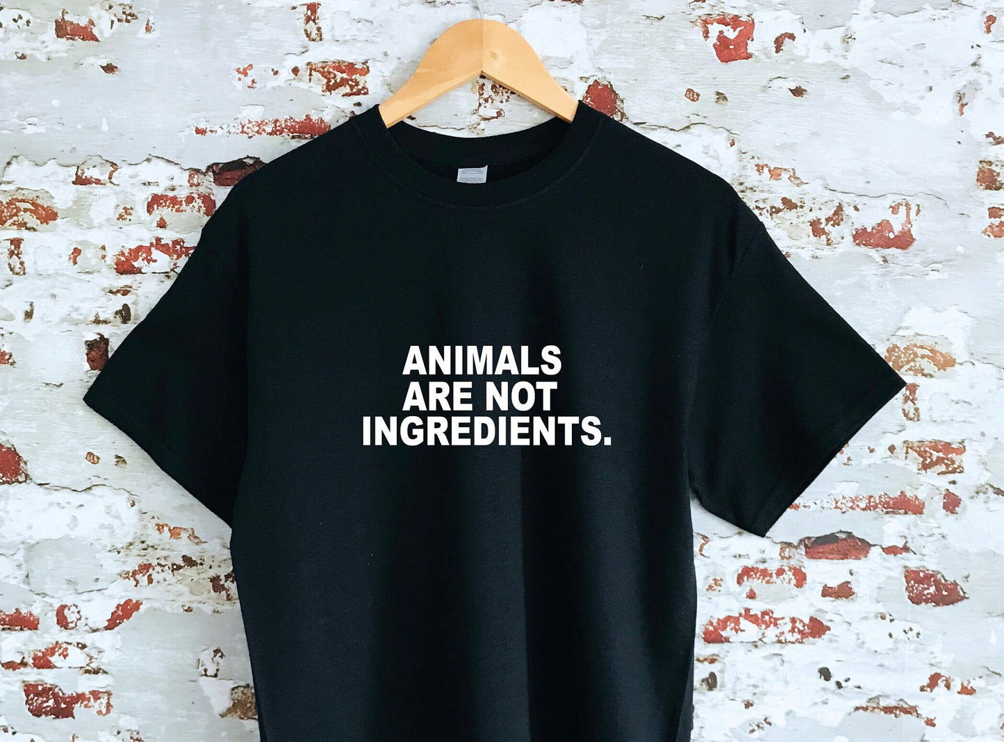 Animals are not ingredients slogan printed T-shirt, multiple sizes and colours, mens & womens top, animal rights, go vegan