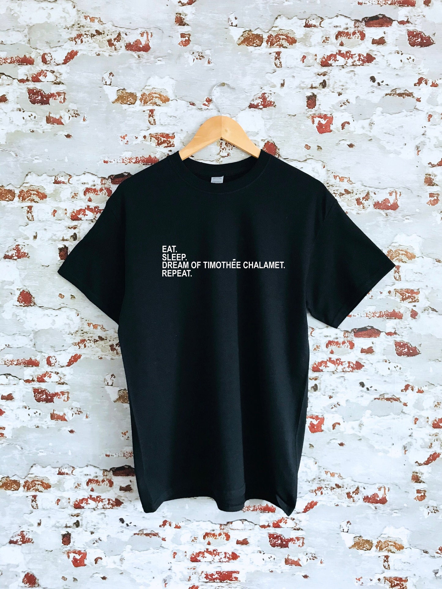 Dream of Timothee Chalamet & repeat print T-shirt, unisex, multiple sizes and colours, mens and womens top