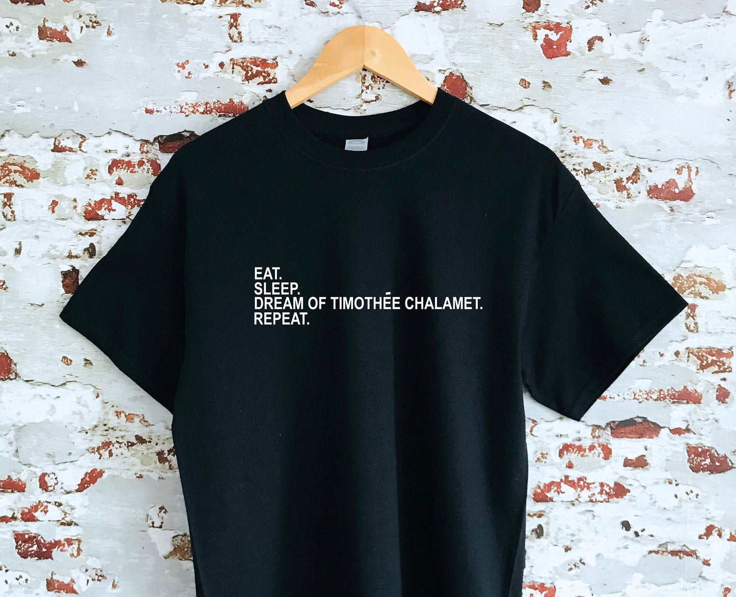Dream of Timothee Chalamet & repeat print T-shirt, unisex, multiple sizes and colours, mens and womens top