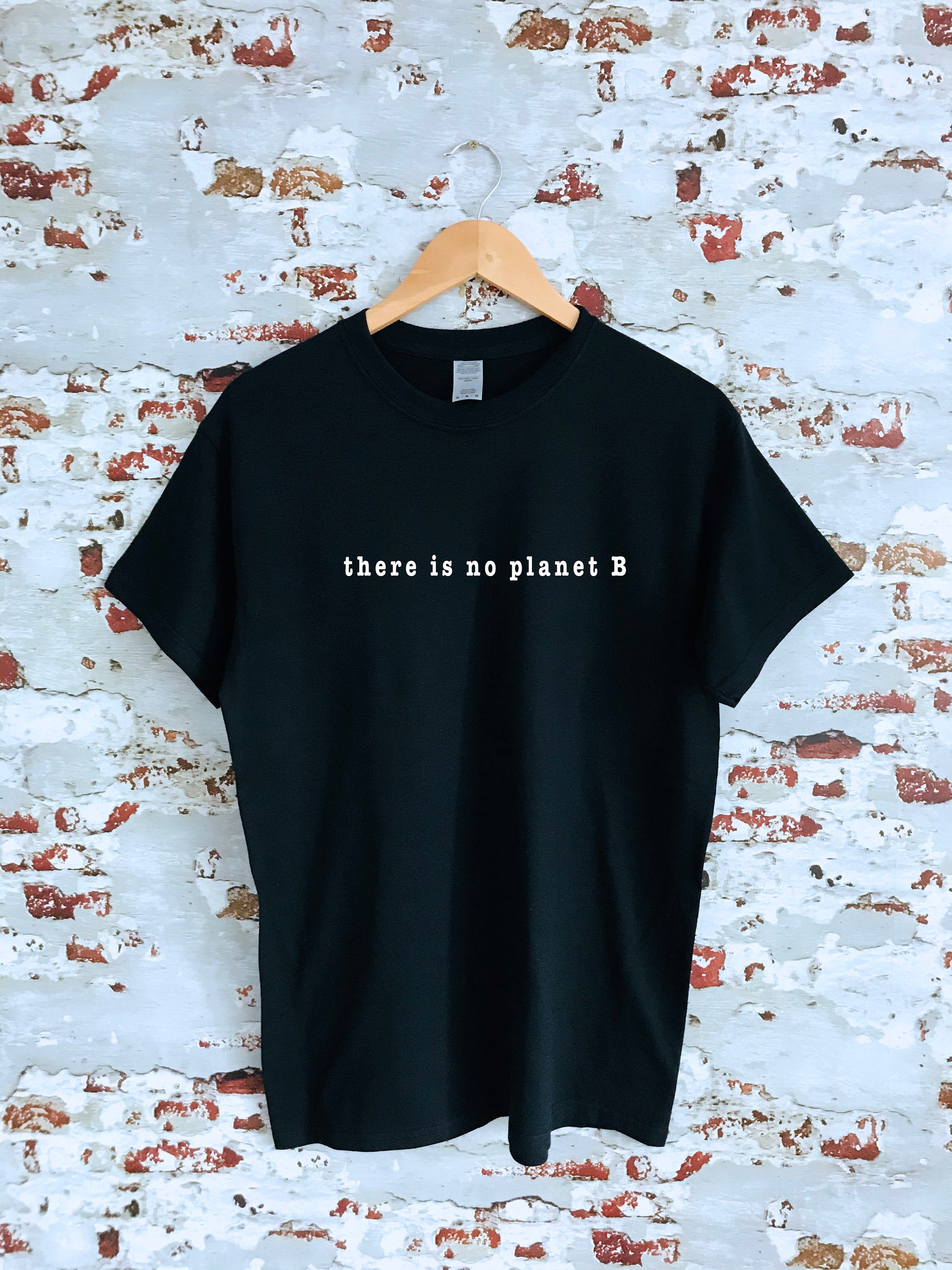There is no planet B slogan printed T-shirt, multiple sizes and colours, womens top, climate change, activism, enviroment, nature, Greta