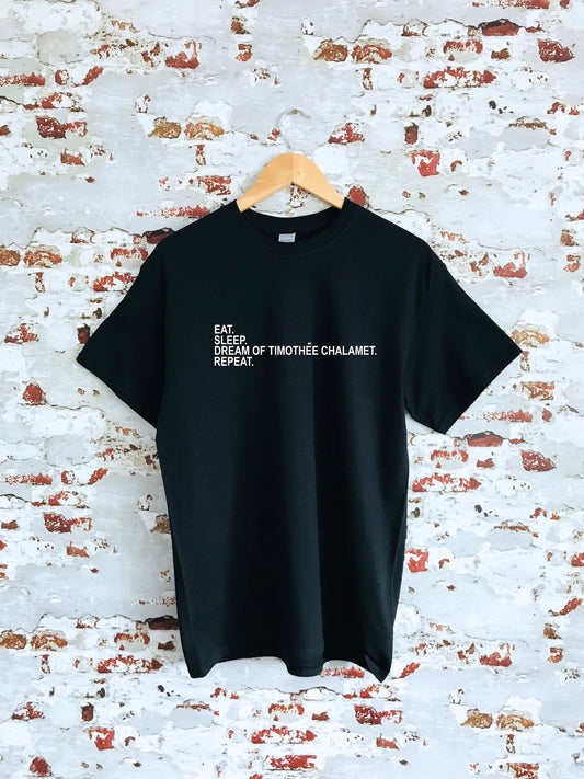 Dream of Timothee Chalamet & repeat print T-shirt, unisex, multiple sizes and colours, mens and womens top