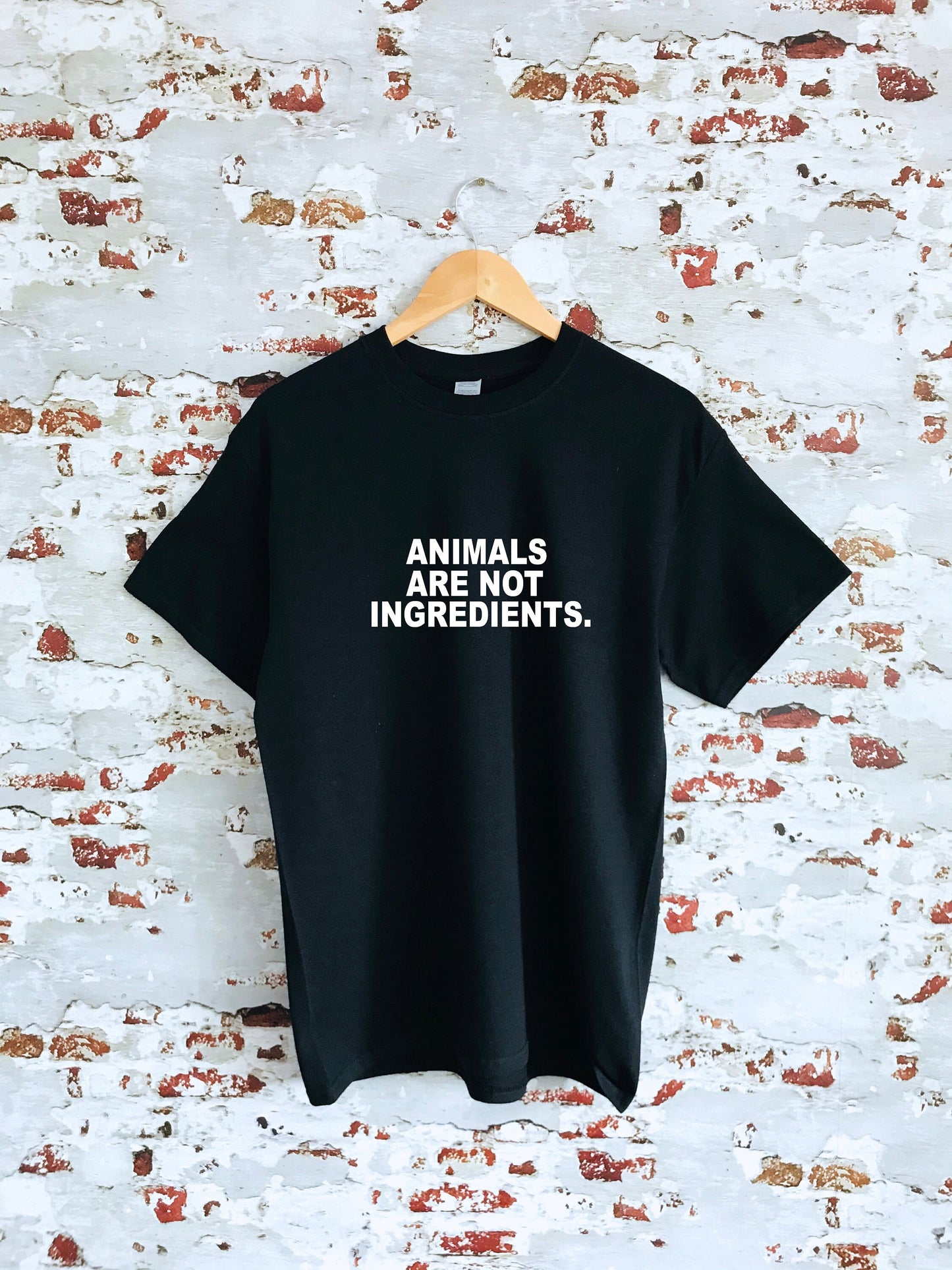 Animals are not ingredients slogan printed T-shirt, multiple sizes and colours, mens & womens top, animal rights, go vegan